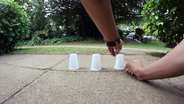 Cet homme défie le goéland avec le jeu des verres, mais ce que fait l'oiseau est impressionnant !