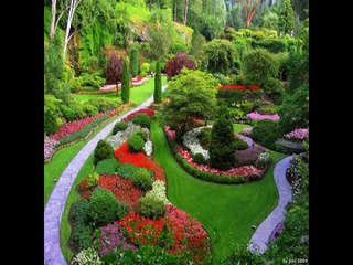 Small Courtyard Garden Design Ideas 2015