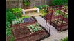 Small Vegetable Garden Design | Small Vegetable Garden Design Ideas