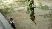 Best Friends
