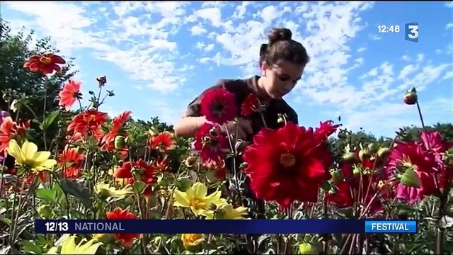Coutances : au Festival des dahlias et des jardins, c'est l'euphorie