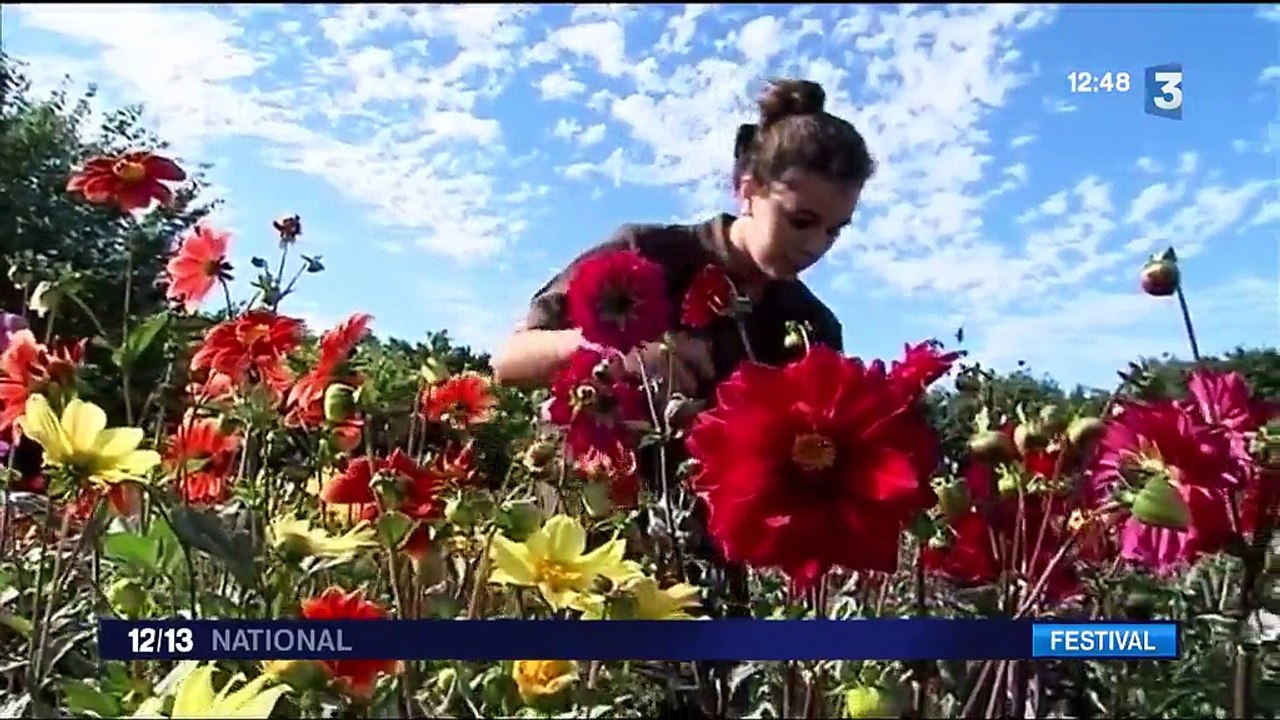 Coutances : au Festival des dahlias et des jardins, c'est "l'euphorie"