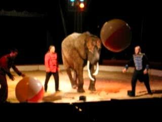 Cirque Kinos: Spectacular Circus Show 🎪