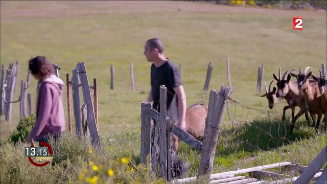 13H15. Néo-paysans : Le choix de vie qu'on a fait nous rend heureux