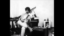 Zappa, un guitar-héros (5/5 Zappa 20 ans après, France Culture)