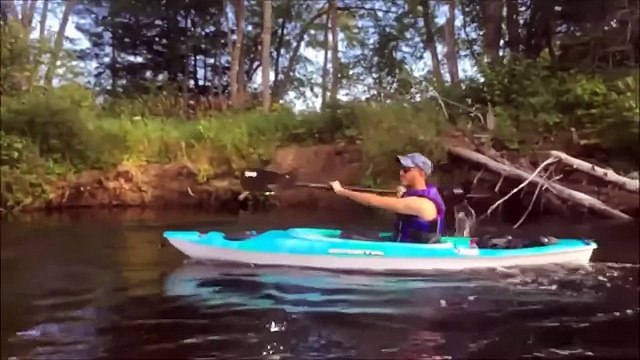 !! NEW VIDEOS !! Shahveer jafry ZaidAliT & Waqar Malik etc VINES Compilation [sep 8] - YouTube