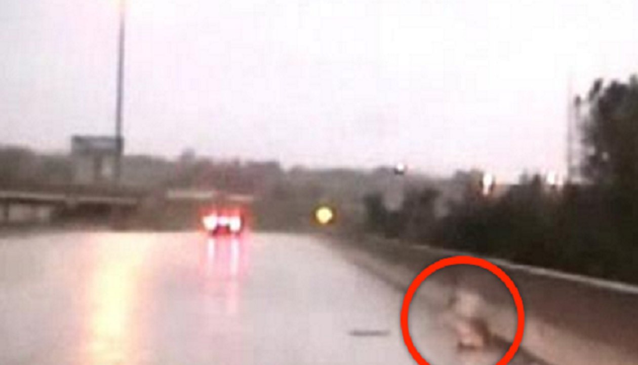 Cops Were Driving In A Heavy Storm… When They Spotted Something That Broke Their Hearts.