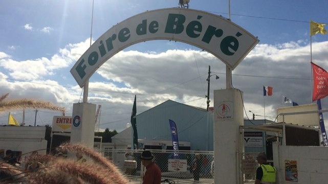 Le samedi à la 967e foire de Béré