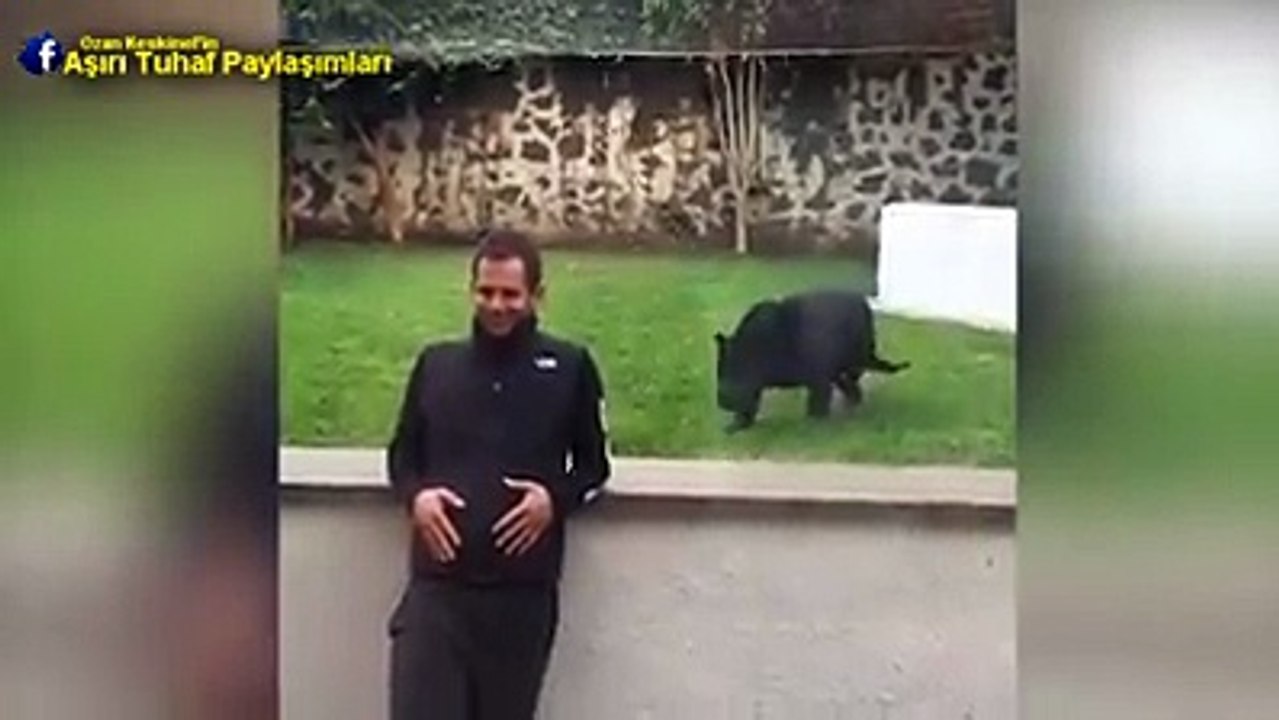 Jaguar Sinsice Yaklaşıyor...