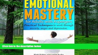 Big Deals  Emotional Mastery for Adults with Aspergers - Practical Techniques to work through