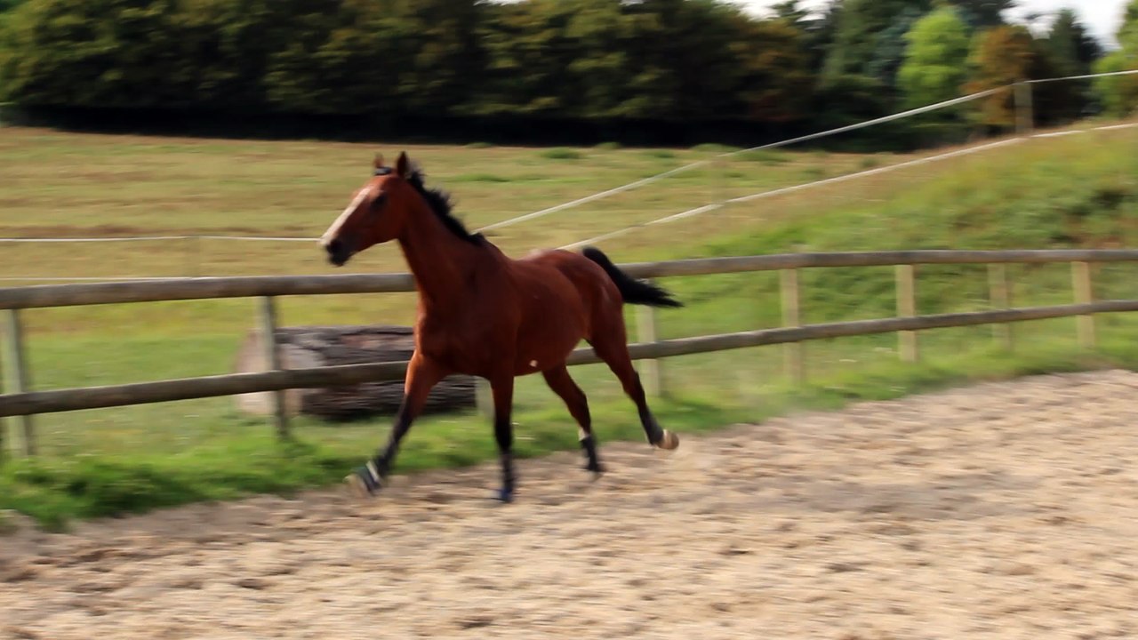 16-09-11 - Liberté et en forme :D !!
