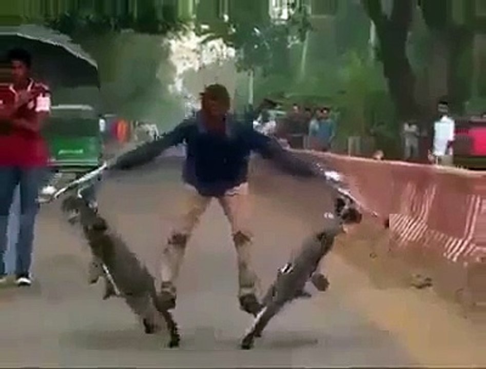 ਦੋ ਸਾਈਕਲਾਂ ਇਕਠੀਆ ਚਲਾਉਂਦਾ ਹੈ ਇਹ ਵੀਰ !!!=