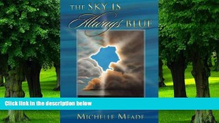 Big Deals  The Sky Is Always Blue  Best Seller Books Most Wanted