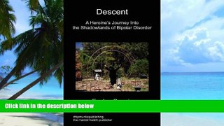 Big Deals  Descent - A Heroine s Journey  Best Seller Books Best Seller