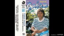 Saban Saulic - Voleo sam samo tebe