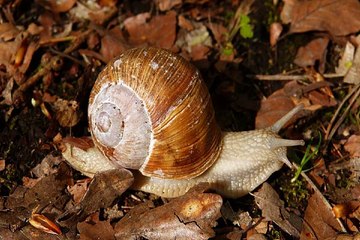 찜알바 ↔ 여자고수입 남자호스트알바 bar알바 정보