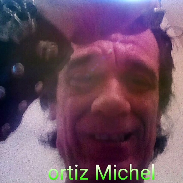 ORTIZ MICHEL