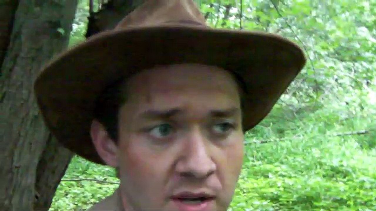Out On A Walk:  Filming In The Elmwood Road Forest