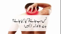 10 Home Remedies for Pinched Nerves Nas Dab Jane Ka Ilaj
