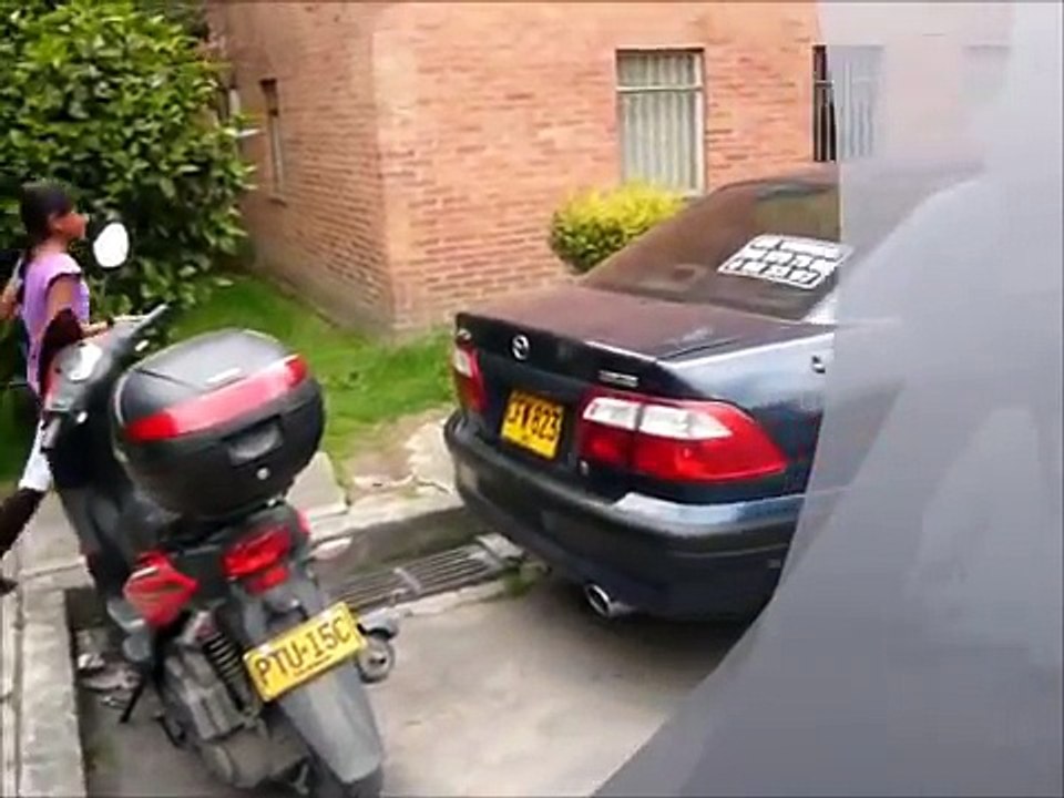 Niña conduce carro