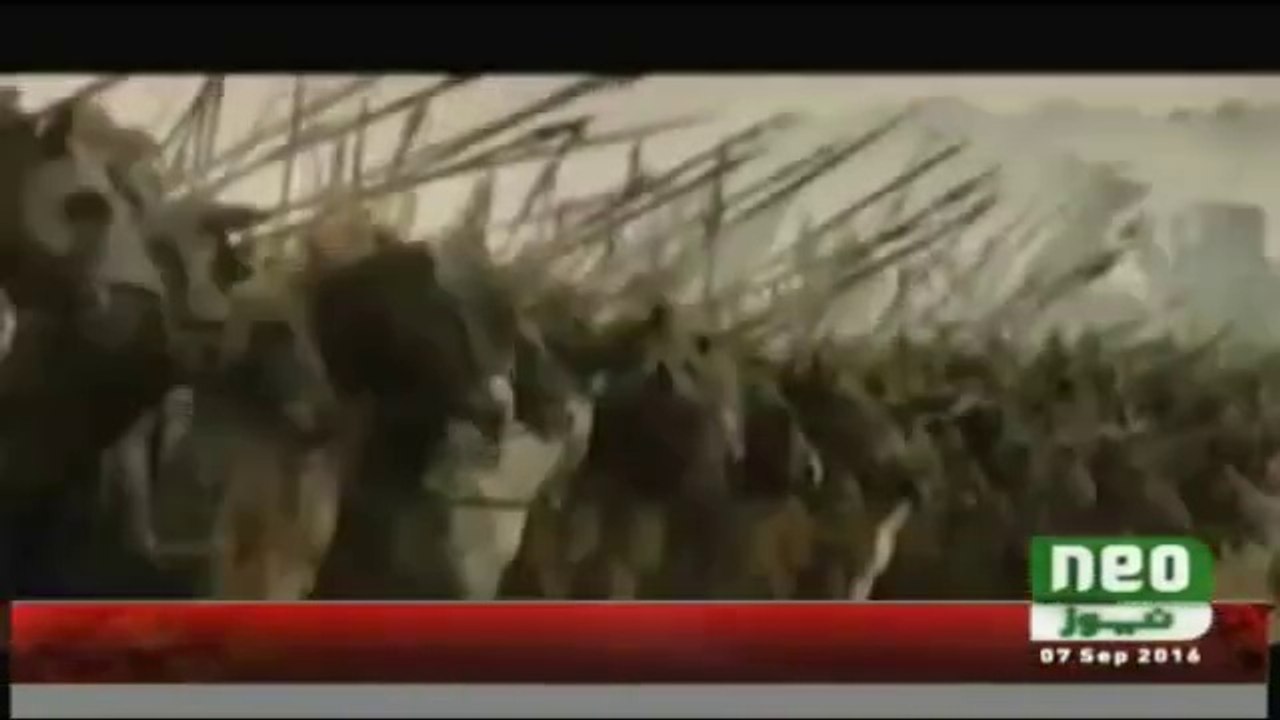 کس طرح قادیانی فتنہ یہودیوں نے شروع کیا مسلمانوں کے خلاف اس ویڈیو کو اتنا پھیلائیں جتنا آپ نبی ﷺ سے محبت کرتے ہیں