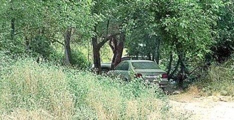 Cudi Dağında PKK'nın Katliam Otoparkı