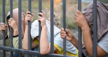 İsviçre'ye Sığınan Mültecilerin Yüzde 60'ı Kayıp