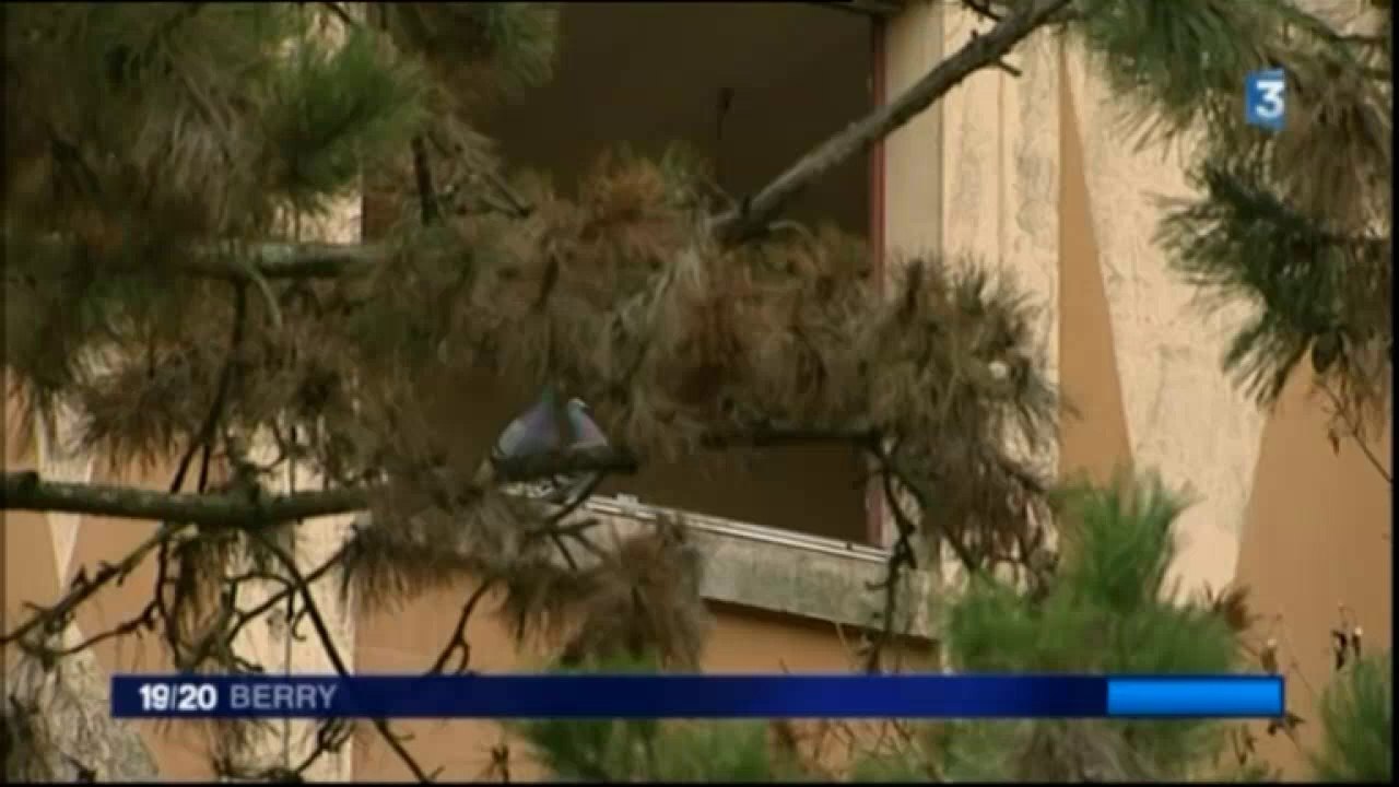 Portrait de Reynal Pellicer et son "Bourges à emporter"