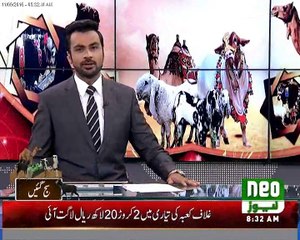 Shera Jut & Sultan Ki Dhumain.