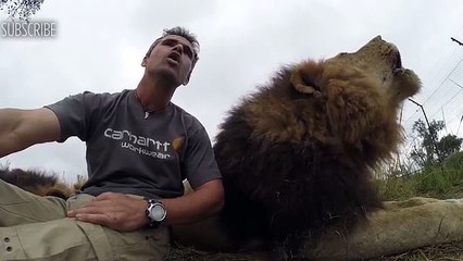 Lion Handler Is Trying To Film An Important Message But His Friend Has Other Plans