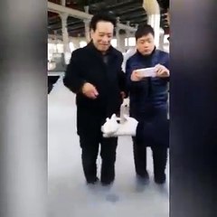 (- 40 ) derecede dondurulmuş balık tekrar hayata dönüyor