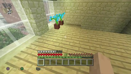 Minecraft: PlayStation®4 Edition_20160910162622