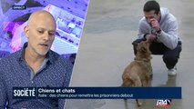 Chiens et chats : en Italie, des chiens pour remettre les prisonniers debout