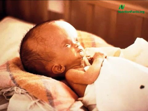 Meat Hormones & Female Infertility