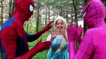 Frozen Elsa is a CANON BALL! w-_ Spiderman Maleficent Joker Pink Spidergirl Catwoman! Superhero Fun