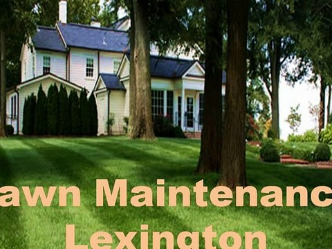 Want Low Price Lawn Maintenance Lexington