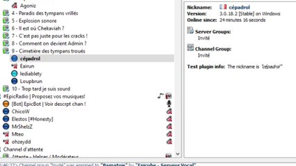 Compilation Teamspeak (& Skype un peu)