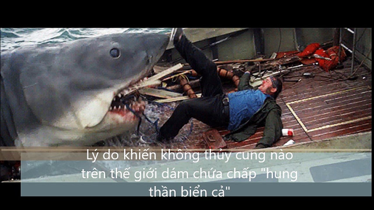 Lý do khiến không thủy cung nào trên thế giới dám chứa chấp hung thần biển cả