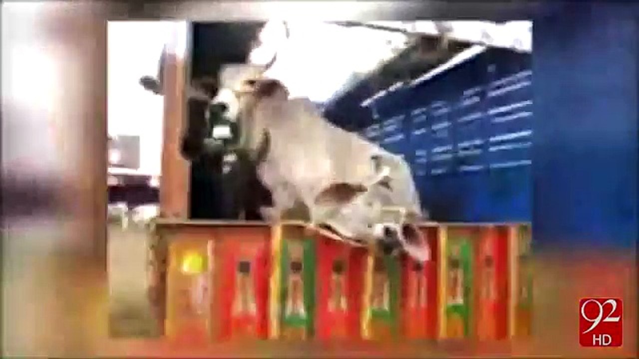 Baryani Not Allowed in india