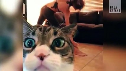 video lucu bikin ngakak , orang2 pada telanjang semua, funny videos