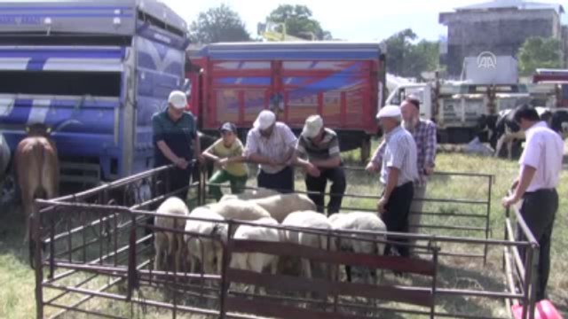 Kurban Pazarlarında Arife Hareketliliği