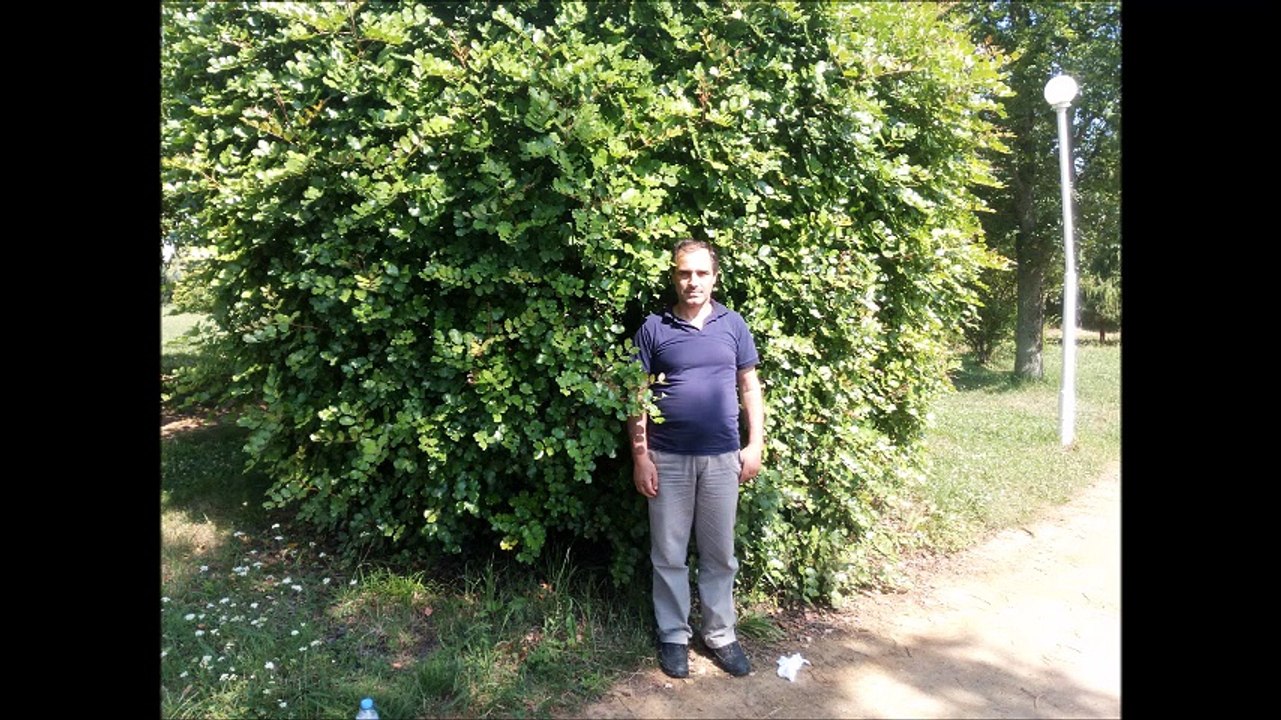 güngör yıldız...Buras- Mu-tur Yolu Yoku-tur.........