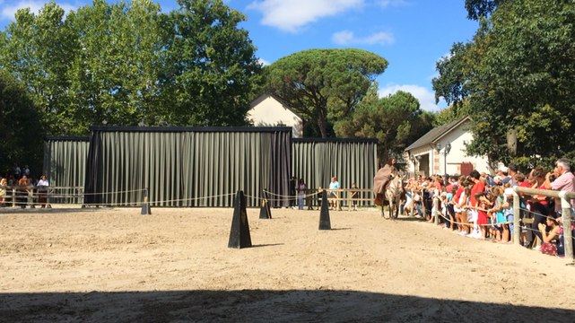 La grande foule aux victoires équestres