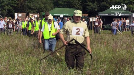En Pologne, un championnat inédit de fauchage pour la bonne cause