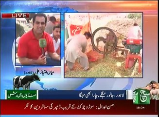 News Bulletin 06pm 11 September 2016 - Such TV