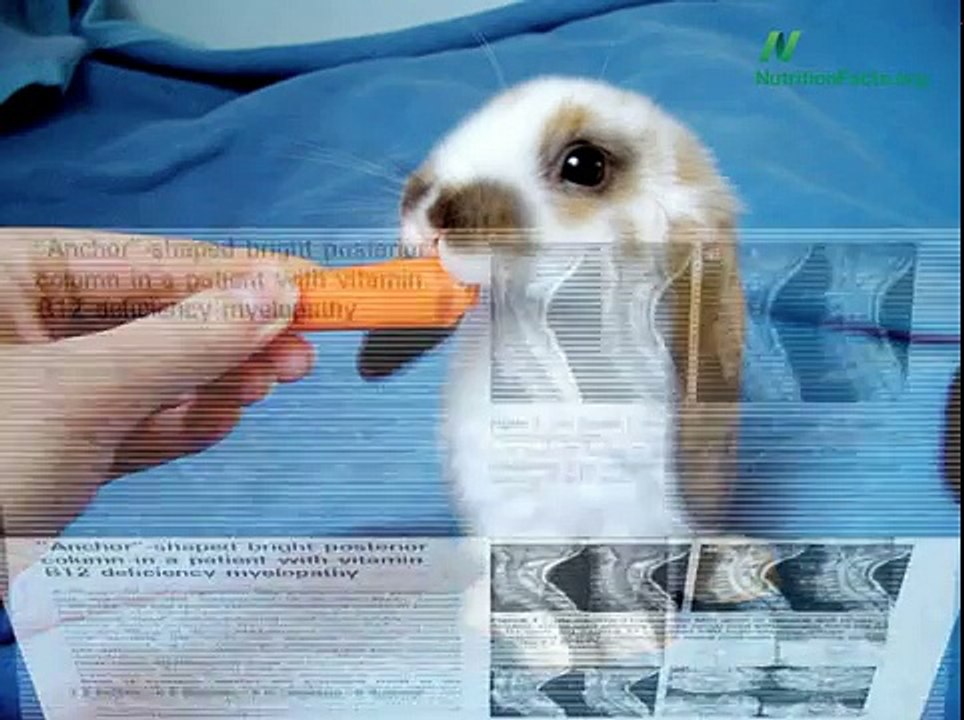 Inverted Rabbit Sign