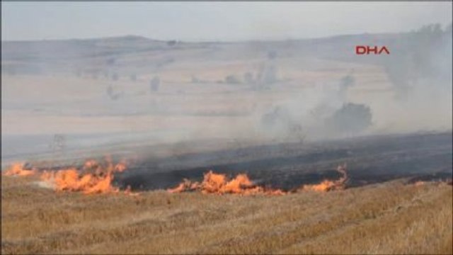 Tekirdağ Malkara 200 Dönüm Anız Yangını