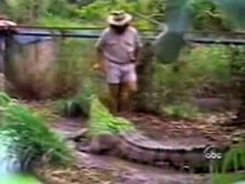 100 Funny Falls