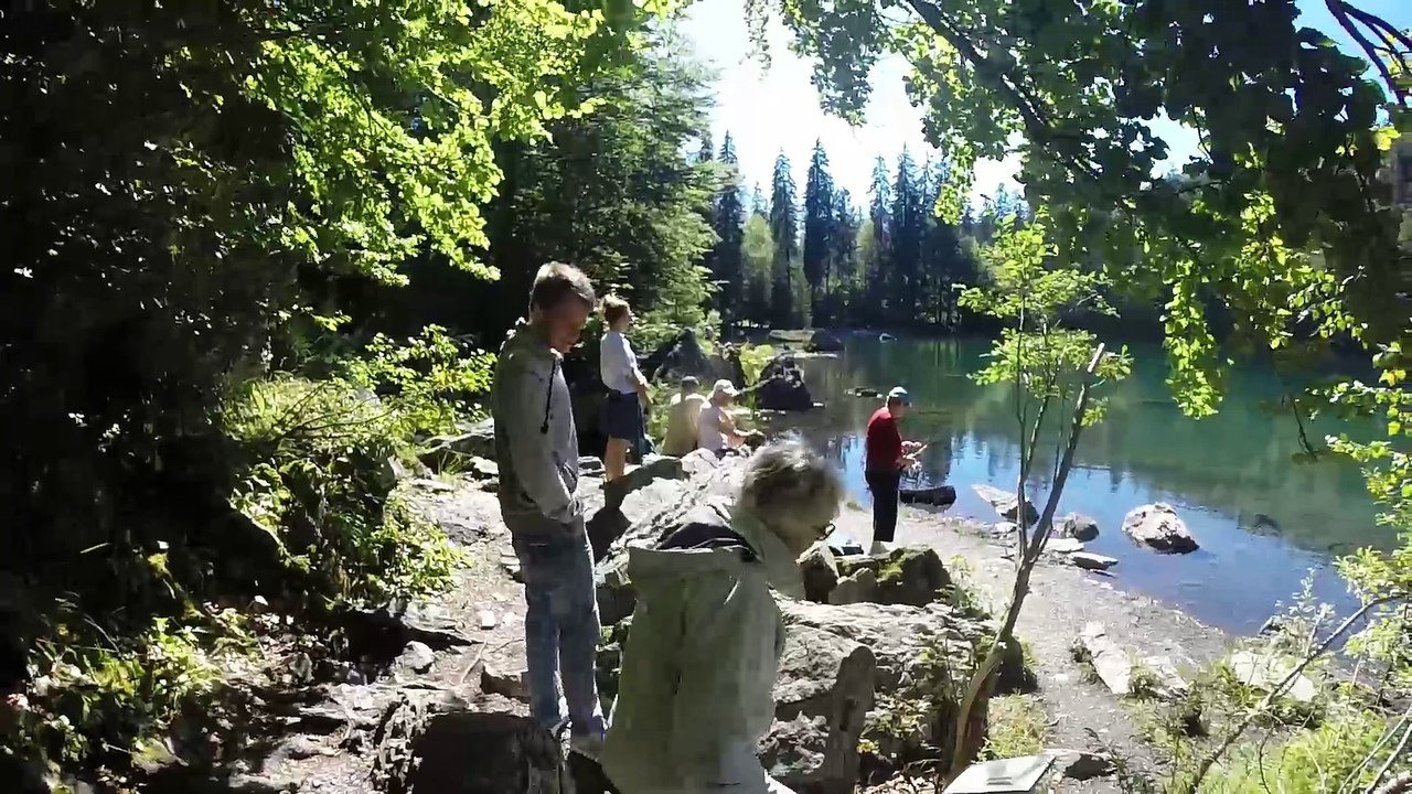 20160826 lac vert  animaux  gorges
