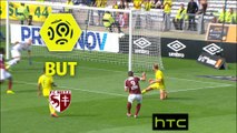 But Mevlut ERDING (45ème +3) / FC Nantes - FC Metz - (0-3) - (FCN-FCM) / 2016-17